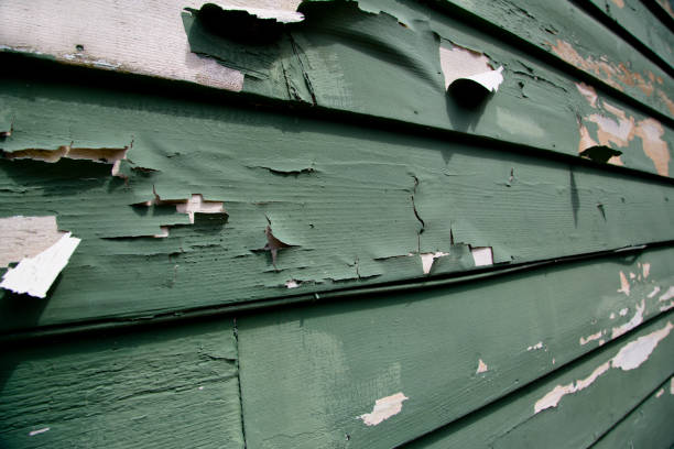 Best Stone Veneer Siding  in Kelseyville, CA